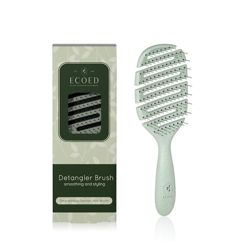 ecoed Detangler Hairbrush, Soft Bristle Detangling Brush for Straight, Wavy, Curly and Fine Hair, Dry and Wet, Quick Smoothing for Women and Men, Eco-Friendly & Sustainable Material (Green) - Image 1
